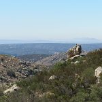 The Cleveland National Forest is made up of 460,000 acres in Southern California northeast of San Diego. - photo by Joe Alexander