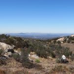 The Cleveland National Forest is made up of 460,000 acres in Southern California northeast of San Diego. - photo by Joe Alexander