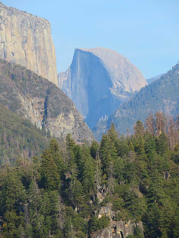 Half Dome in Yosemite National Park. - photo by Joe Alexander