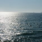A fall afternoon in Huntington Beach, California – also known as Surf City USA. – photo by Joe Alexander