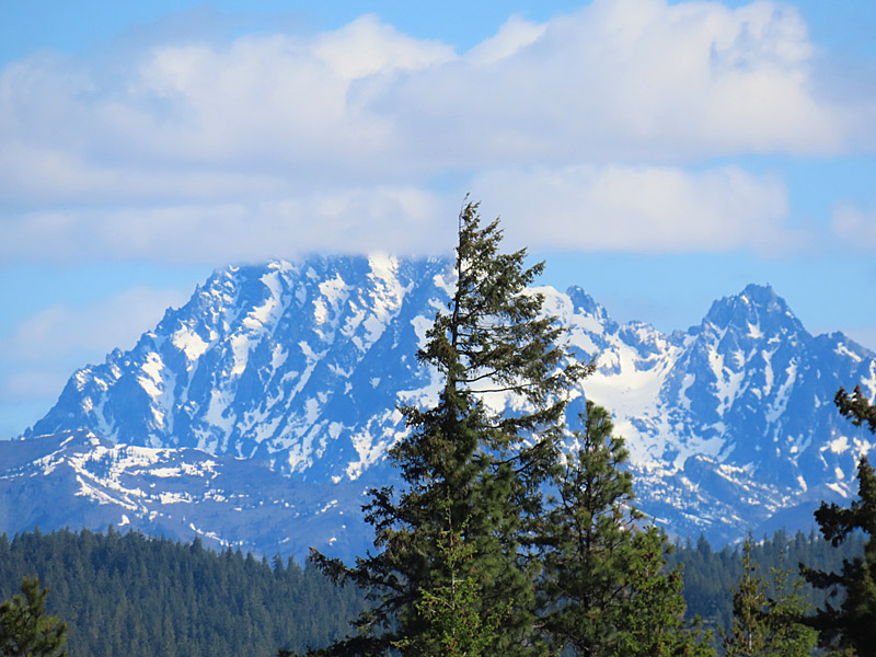 The peaks of the Alpine Lakes Wilderness in Washington State still had some snow in late May and are visible to the north of the Indian John Hill Rest Area along Interstate 90. - photo by Joe Alexander
