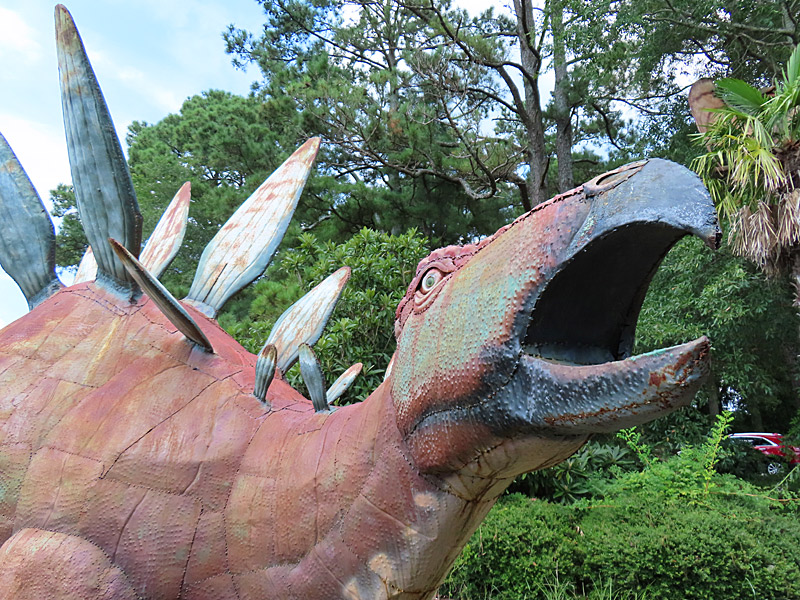 One of the residents at Jerrasic Park next to Military Aviation Museum in Virginia Beach. - photo by Joe Alexander