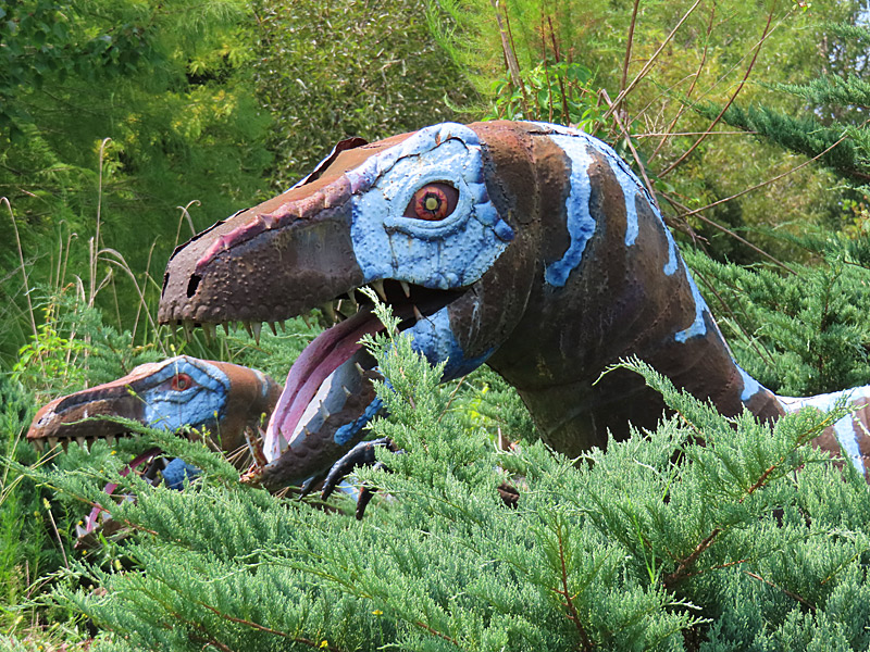 Part of the collection at Jerrasic Park next to Military Aviation Museum. - photo by Joe Alexander
