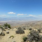 Joshua Tree National Park in the high desert of California. – photo by Joe Alexander
