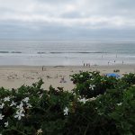 Pacific Beach is north of the inlets of San Diego Bay and Mission Bay. It has long been a haven for Southern California vacationers and surfers. – photos by Joe Alexander