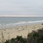 Pacific Beach is north of the inlets of San Diego Bay and Mission Bay. It has long been a haven for Southern California vacationers and surfers. – photos by Joe Alexander