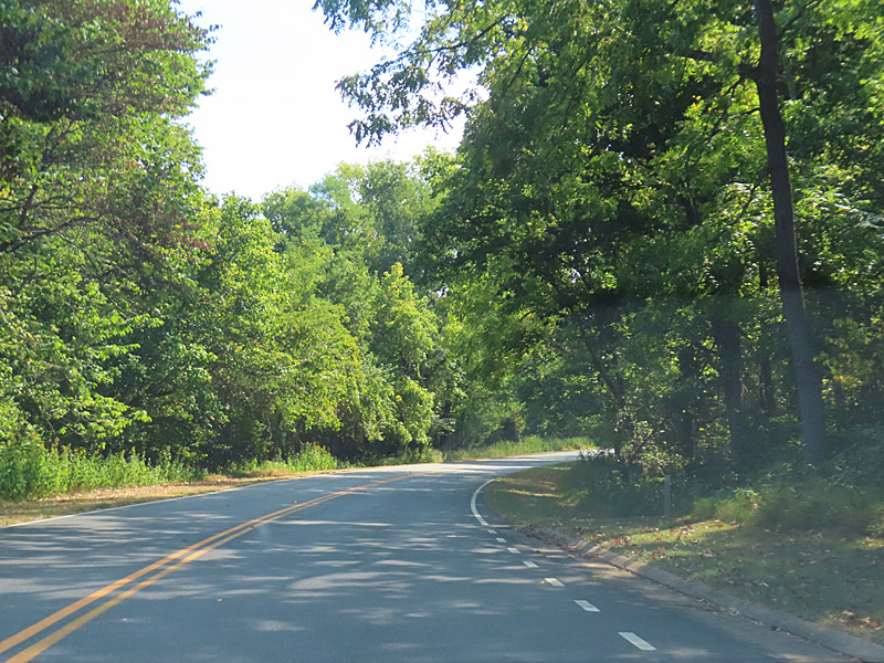 Skyline Drive’s northern entrance is a little more than an hour drive from Washington DC, but it feels like a world away. - photo by Joe Alexander
