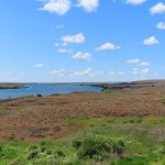 Sprague Lake Rest Area in eastern Washington State is about 40 miles west of downtown Spokane. - photo by Joe Alexander
