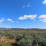 Windmills (wind turbines) near Interstate 90 in central Washington State. - photo by Joe Alexander