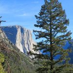 El Capitan in Yosemite National Park in late morning. - photo by Joe Alexander