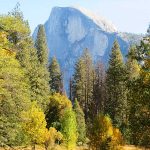 Half Dome in Yosemite National Park on a sunny day in late October. - photo by Joe Alexander