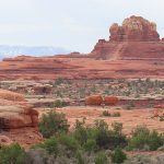 The Needles District of Canyonlands National Park in Utah. - photo by Joe Alexander