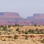 The Needles District of Canyonlands National Park in Utah. - photo by Joe Alexander