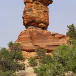The Needles District of Canyonlands National Park in Utah. - photo by Joe Alexander
