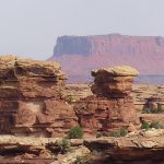 The Needles District of Canyonlands National Park in Utah. - photo by Joe Alexander