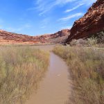Colorado River at Lions Park near Moab, Utah in late afternoon in April. - photo by Joe Alexander