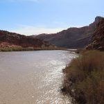 The Colorado River near Moab, Utah in the morning in April. - photo by Joe Alexander
