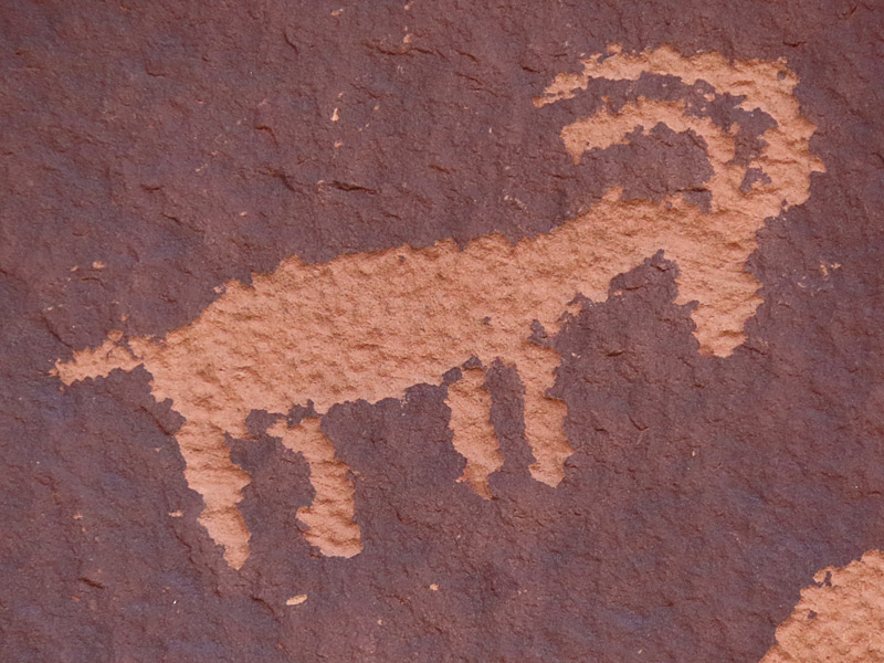 Newspaper Rock Archaeological Site near Canyonlands National Park. - photo by Joe Alexander