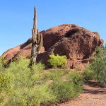 Papago Park in Phoenix, Arizona. - photo by Joe Alexander