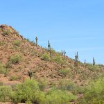 Papago Park in Phoenix, Arizona. - photo by Joe Alexander