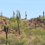 Papago Park in Phoenix, Arizona. - photo by Joe Alexander
