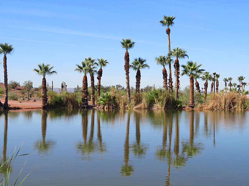 Papago Ponds Community Lake in Papago Park. - photo by Joe Alexander