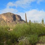 Picacho Peak State Park in Arizona. - photo by Joe Alexander