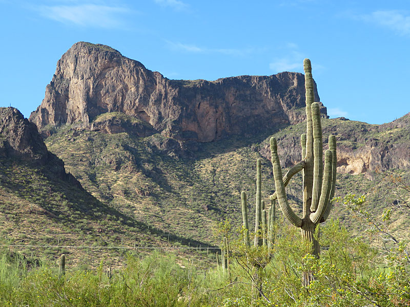 Picacho Peak and saguaro cactus after the sun came out. - photo by Joe Alexander