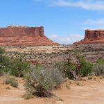 On the road to Canyonlands National Park’s northern entrance near Moab, Utah. - photo by Joe Alexander