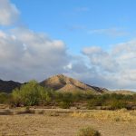 A visit to the Sonoran Desert near Tucson, Arizona. - photo by Joe Alexander
