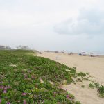 The beach was filled with families on a hazy, cloudy weekday afternoon in June. - photo by Joe Alexander