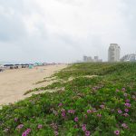 The beach was filled with families on a hazy, cloudy weekday afternoon in June. - photo by Joe Alexander