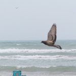 The beach was filled with families on a hazy, cloudy weekday afternoon in June. - photo by Joe Alexander