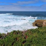 La Jolla Cove in San Diego on a sunny afternoon in September. - photo by Joe Alexander