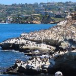 La Jolla Cove in San Diego on a sunny afternoon in September. - photo by Joe Alexander