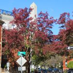Bunker Hill Monument on Boston’s Freedom Trail. – photo by Joe Alexander