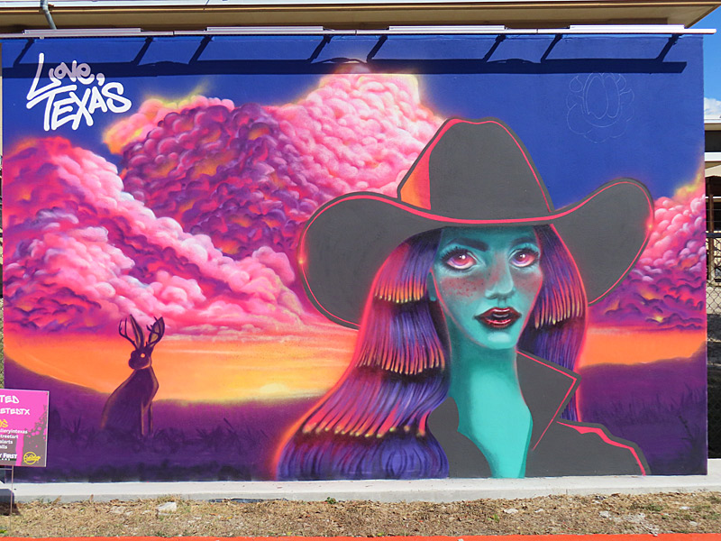 New mural at Healy-Murphy Park in San Antonio by Deleted.