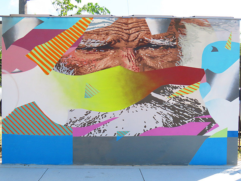 New mural at Healy-Murphy Park in San Antonio by Scotch.