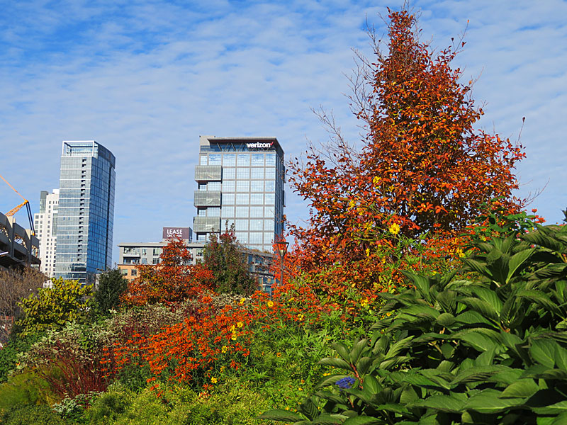 Rose Kennedy Greenway in downtown Boston in November, 2021. – photo by Joe Alexander