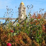 Rose Kennedy Greenway in downtown Boston in November, 2021. – photo by Joe Alexander