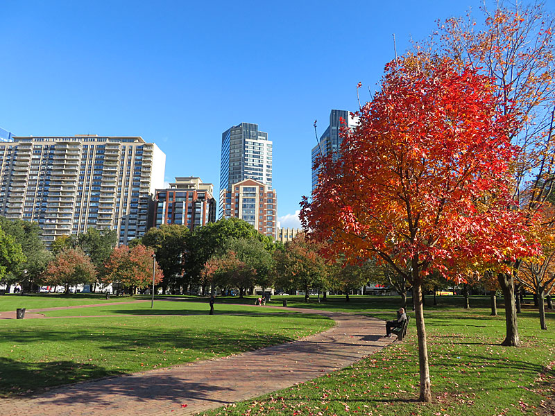 Citizens of Boston purchased the land for Bostom Common almost 400 years ago. – photo by Joe Alexander