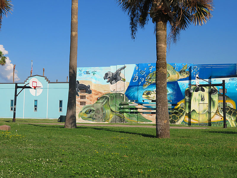 A sea turtle themed mural overlooks an outdoor basketball court near the beach in Galveston. – photo by Joe Alexander