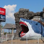 Animal art is common in Galveston both at businesses and in public places. Most of it reflects the island’s relationship with the sea. – photo by Joe Alexander