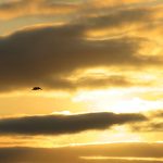 Watching the sunset at Pass-A-Grille on St. Pete Beach. - photo by Joe Alexander