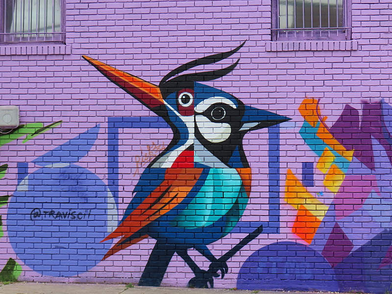 Viva Fiesta Paint Jam mural in San Antonio by Traviscii
