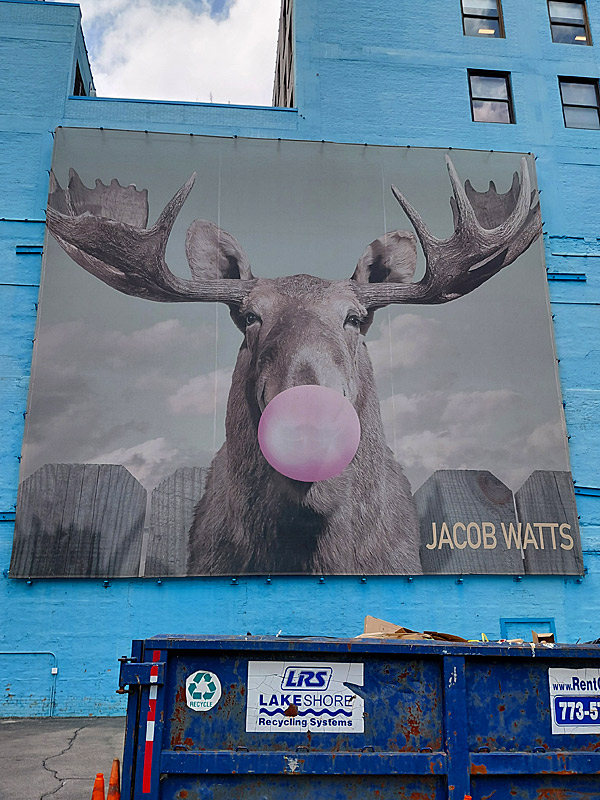 A closer look at the moose mural in downtown Chicago. - photo by Joe Alexander
