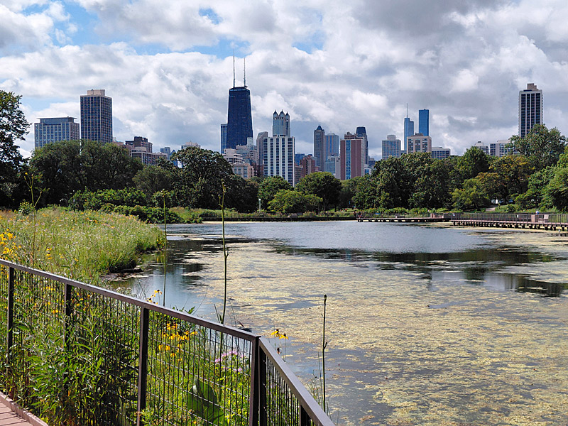 View of Chicago from Lincoln Park. - photo by Joe Alexander