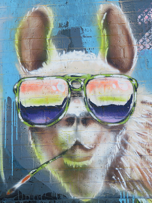 My all-time favorite artwork on Hoefgen Street was from from deletedtx. Alas, it is no longer there. This is part of a block-long street mural on Hoefgen Street just south of Carolina a few blocks from the Alamodome in downtown San Antonio.