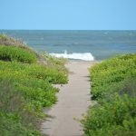 North Padre Island, Texas - the beach near Windward Drive. I figure my beach photos are about like everyone else's: a few waves, a few birds. I still think taking pictures of the beach is just good for you. - photo by Joe Alexander