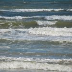 North Padre Island, Texas - the beach near Windward Drive. I figure my beach photos are about like everyone else's: a few waves, a few birds. I still think taking pictures of the beach is just good for you. - photo by Joe Alexander